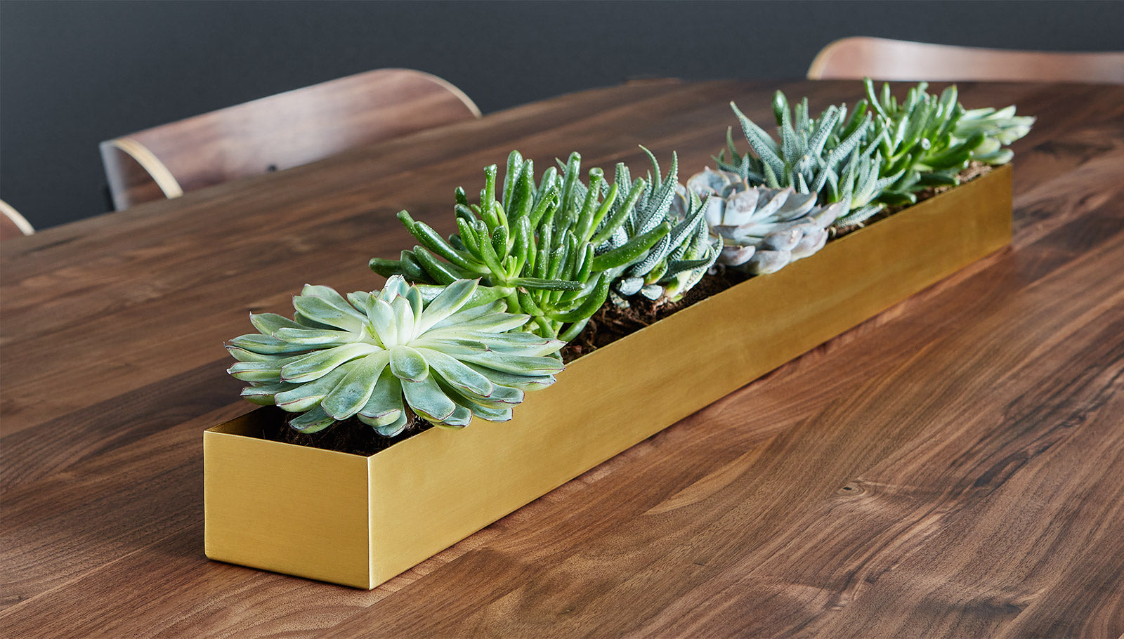 Vessel Planter Planters Gus*     Four Hands, Mid Century Modern Furniture, Old Bones Furniture Company, Old Bones Co, Modern Mid Century, Designer Furniture, https://www.oldbonesco.com/