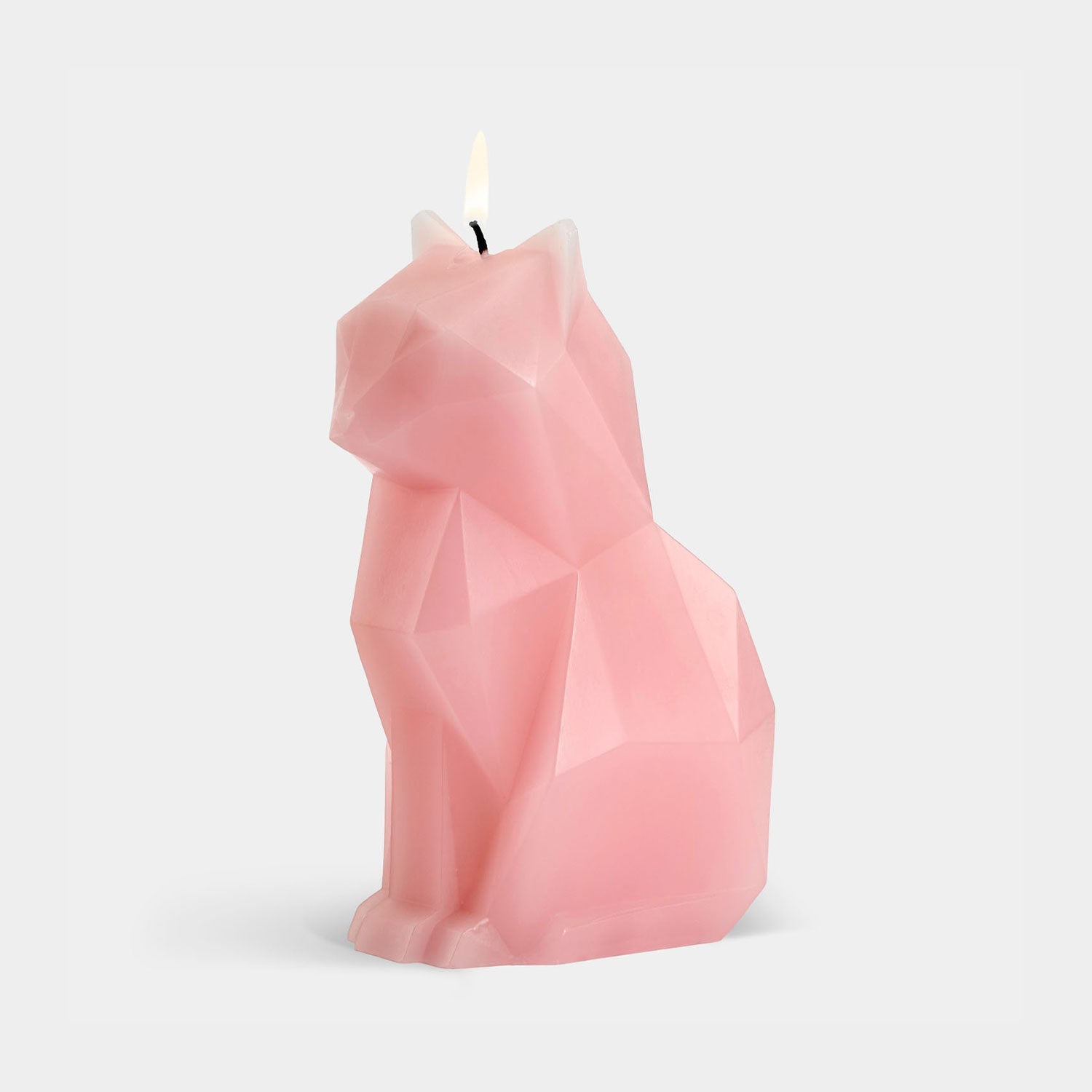 Pyropet Kisa Cat Candle Candles 54Celsius Light Pink    Candles,www.oldbonesco.com,Mid Century Furniture, Furniture Sale, Old Bones Co, Mid Century Sale, Four Hands Furniture, Sale,Gus, Sale,Perigold Pyropet Kisa Cat Candle Candles Sale, Perigold Sale Pyropet Kisa Cat Candle,Pyropet Kisa Cat Candle Lulu and Georgia,Burke Decor Sale Pyropet Kisa Cat Candle, open box furniture,Open Box Pyropet Kisa Cat Candle